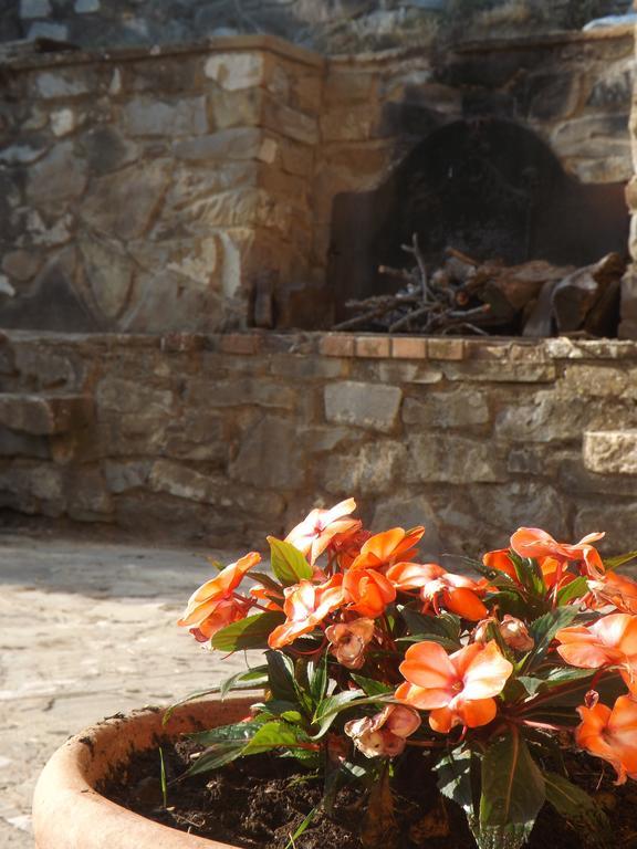 فيلا ريغلوفي Rifugio Al Sole المظهر الخارجي الصورة